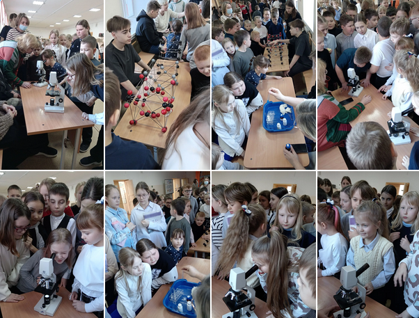 snimok-ekrana-2026-02-05-194052