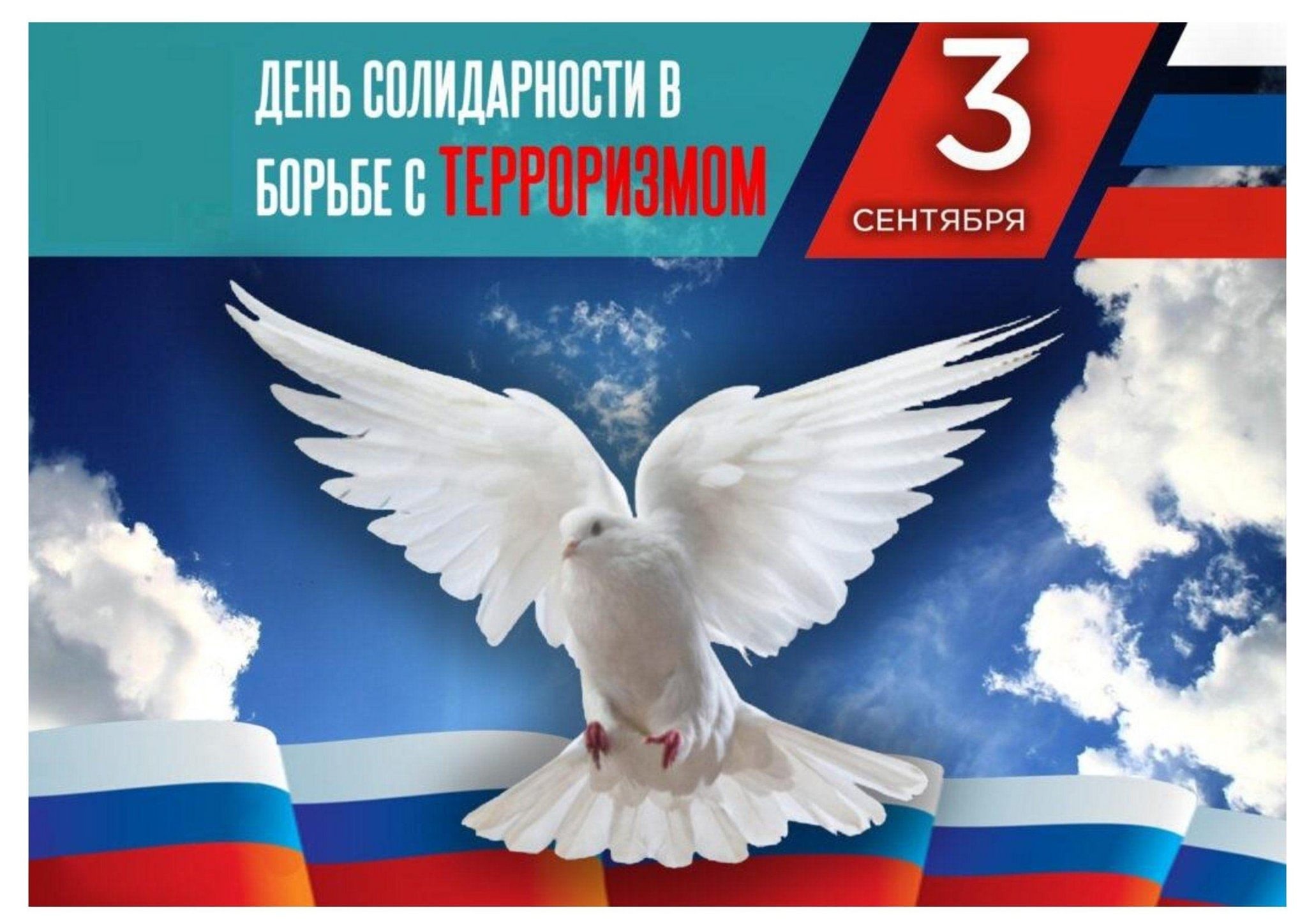 by-wafkmpqmzeoufv-twb3vzzhbcvhulaynktai7pzcsjcfvo4la1s1h7ia4jel_p48234