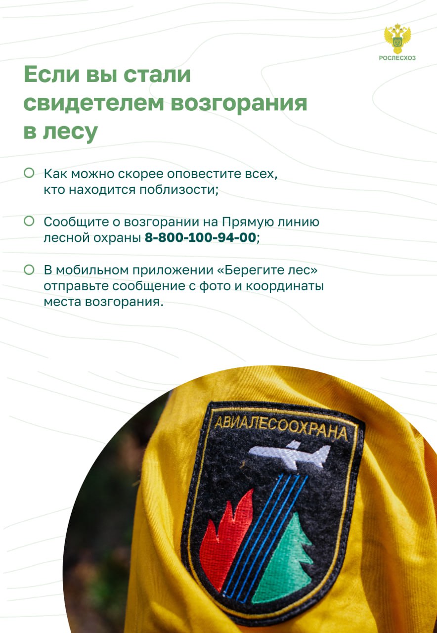 Слайд