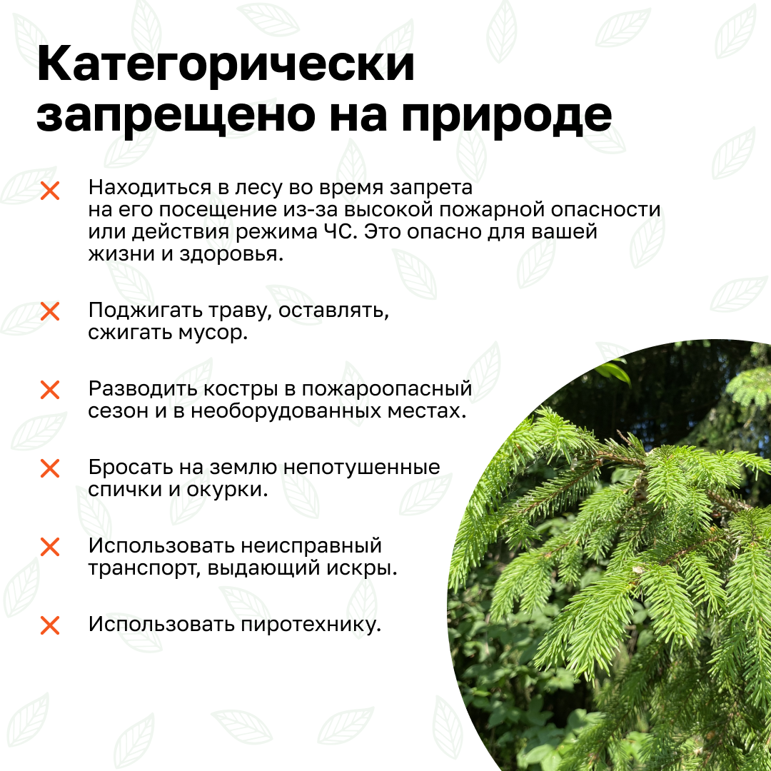 Слайд