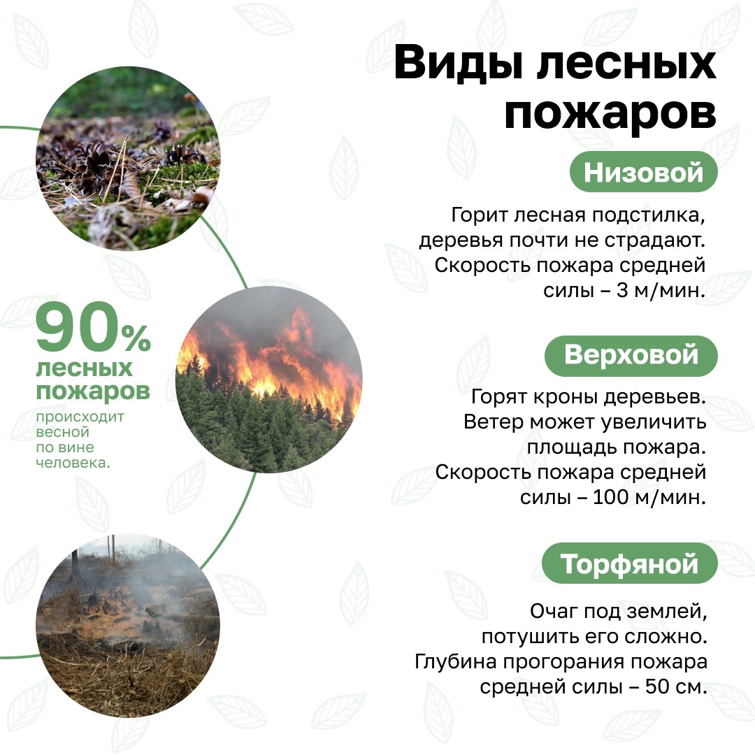 Слайд