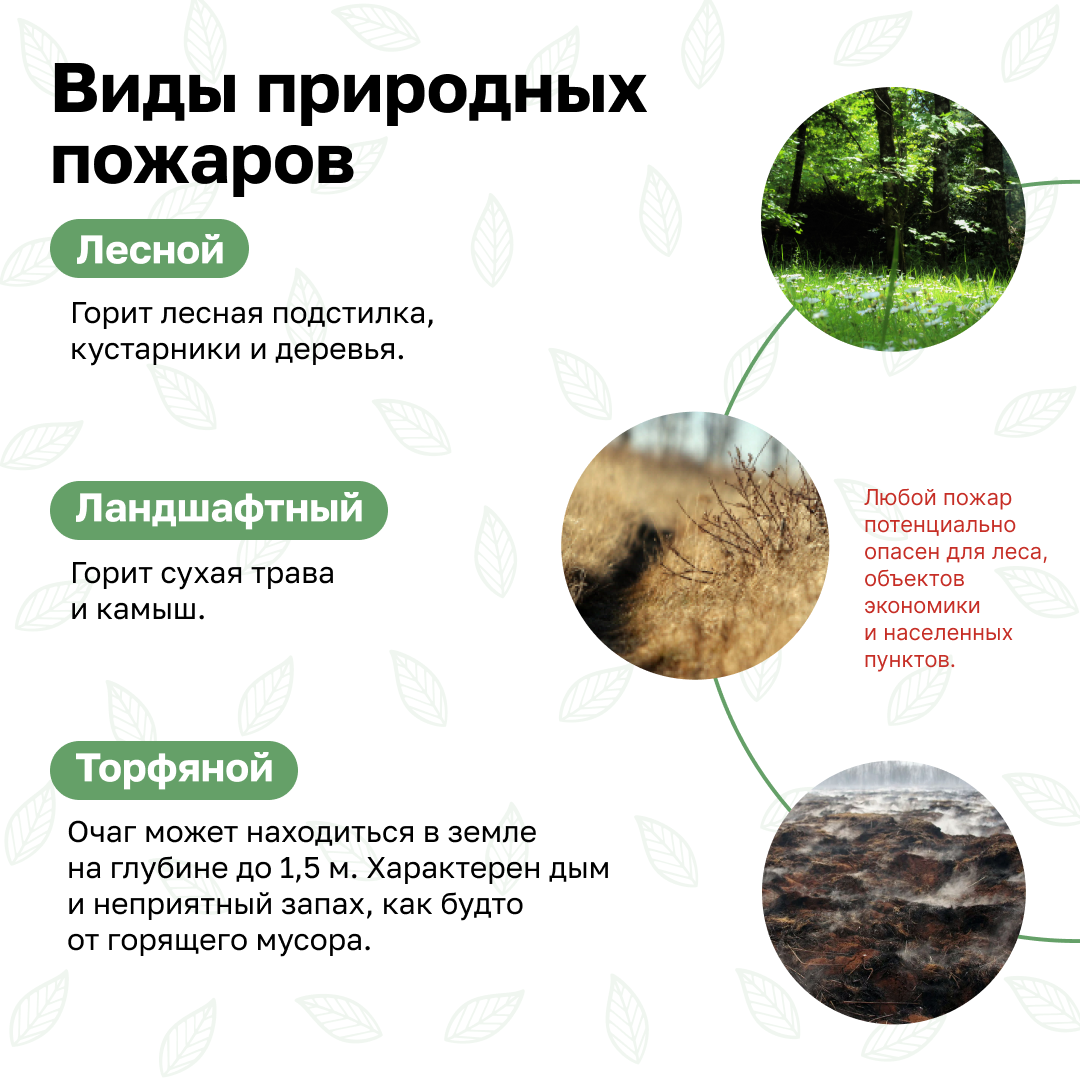 Слайд
