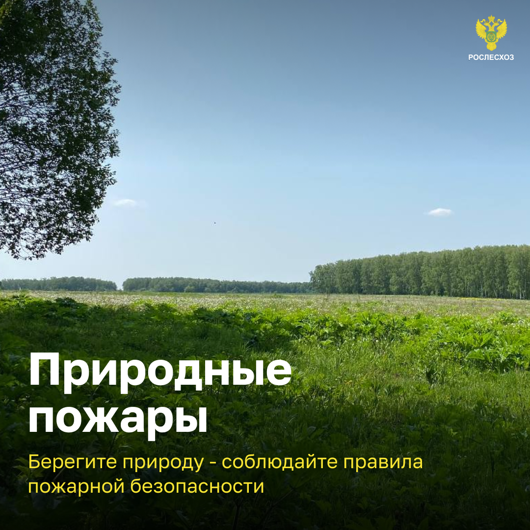 Слайд