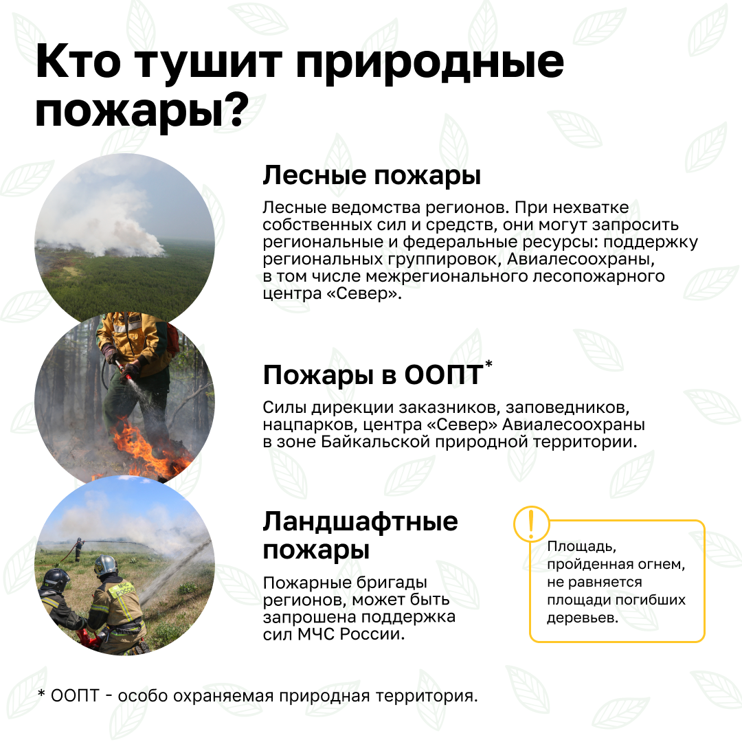 Слайд
