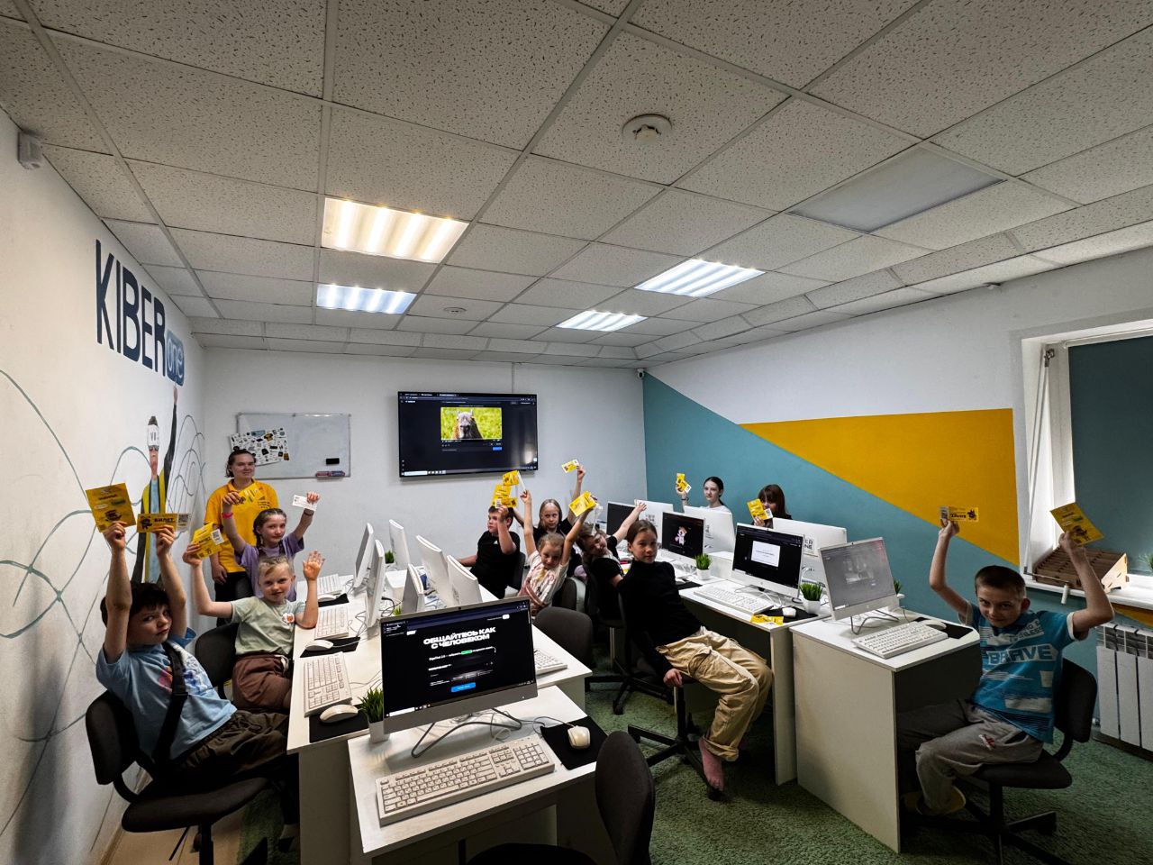 photo_5339346413328394815_y